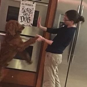 Meet your Posher, Gail